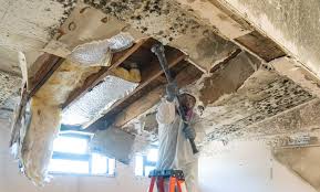 Best Emergency Mold Remediation  in Twinsburg, OH